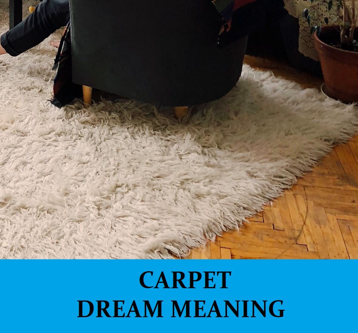 Dream About Carpet