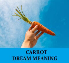 Dream About Carrots