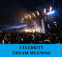 Dream About Celebrity