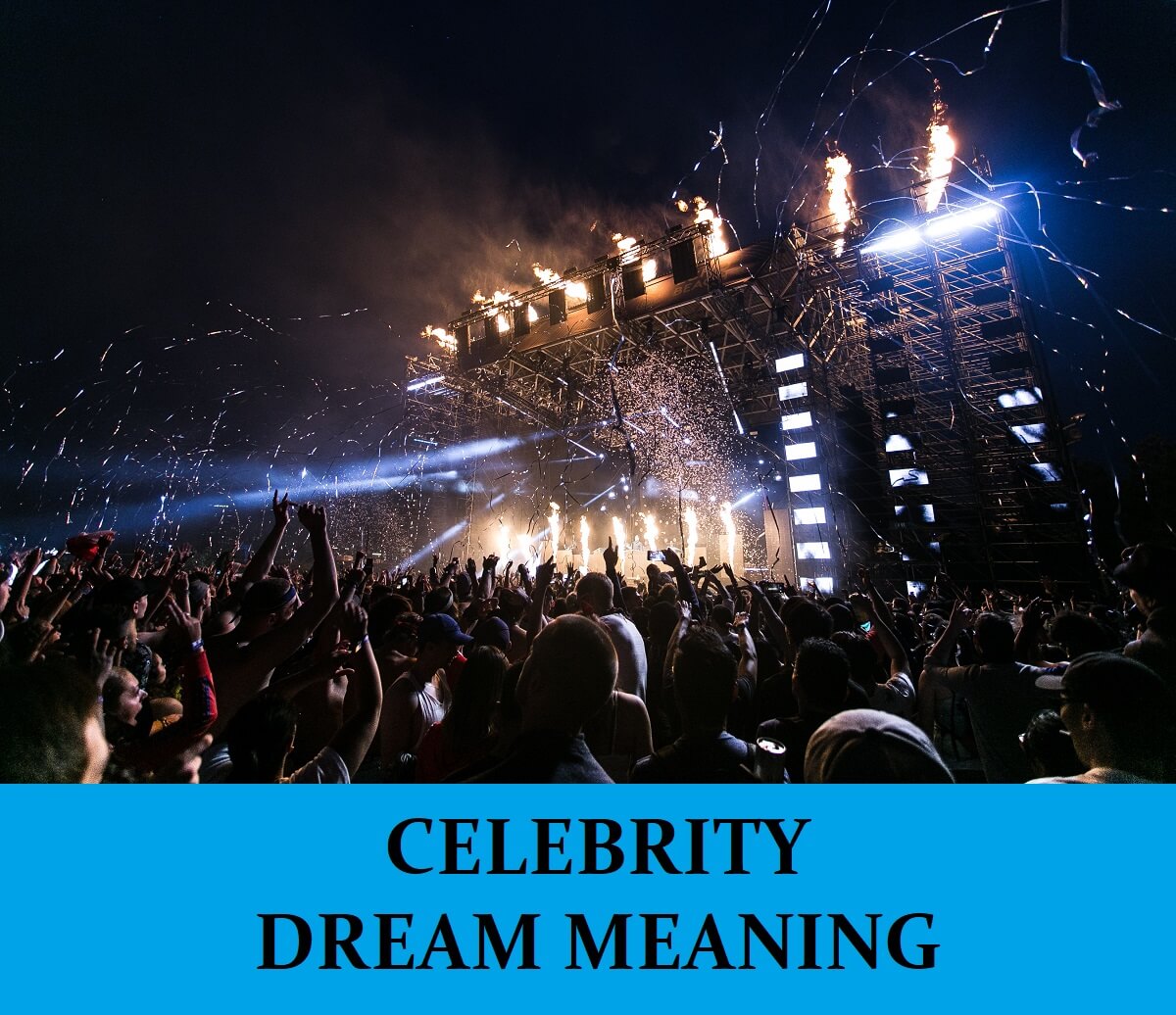 Dream About Celebrity