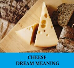 Dream About Cheeses