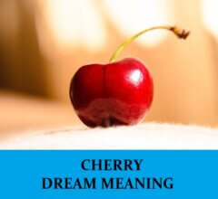 Dream About Cherries