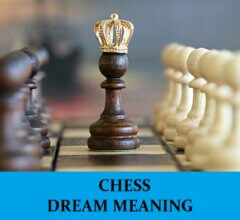Dream About Chess