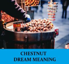 Dream About Chestnuts