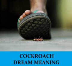 Dream About Cockroaches