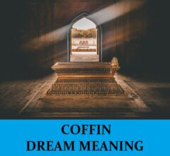Dream About Coffins