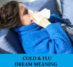 Dream About Flu