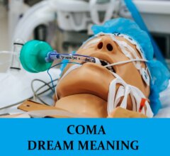 Dream About Coma