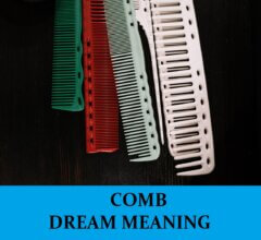 Dream About Combs