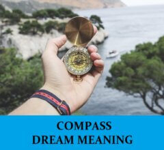 Dream About Compass