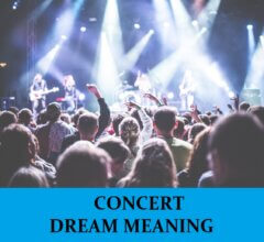 Dream About Concerts