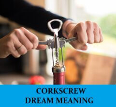 Dream About Corkscrew