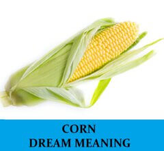 Dream About Corns