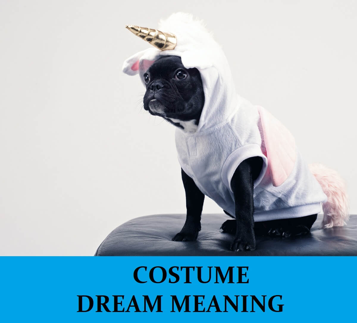 Dream About Costumes