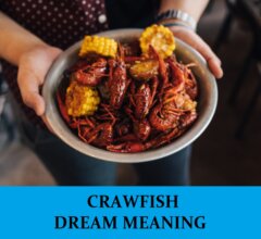 Dream About Crawfish