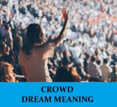 Dream About Crowd