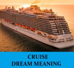 Dream About Cruises