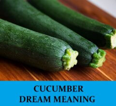 Dream About Cucumbers