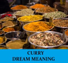 Dream About Curry