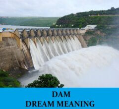Dream About Dams