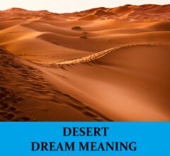 Dream About Desert