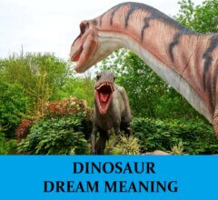 Dream About Dinosaurs