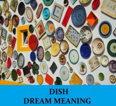 Dream About Dishes