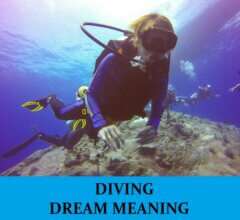 Dream About Diving