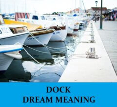 Dream About Docks