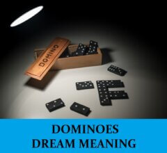 Dream About Dominoes