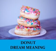 Dream About Donuts