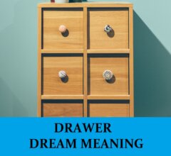 Dream About Drawers