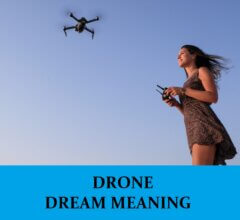 Dream About Drones