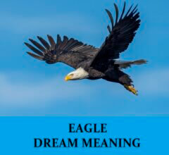Dream About Eagles