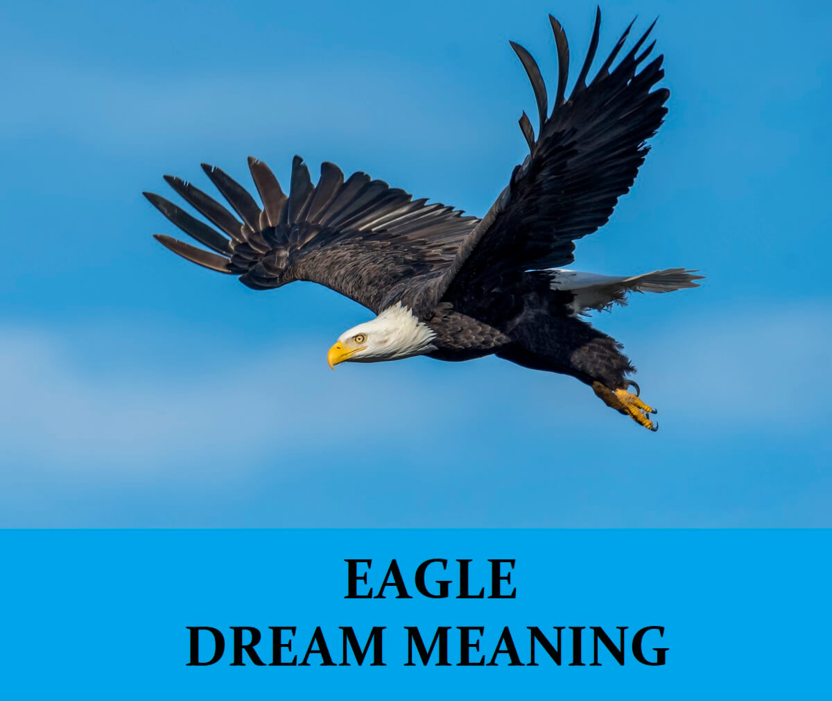 Dream About Eagles