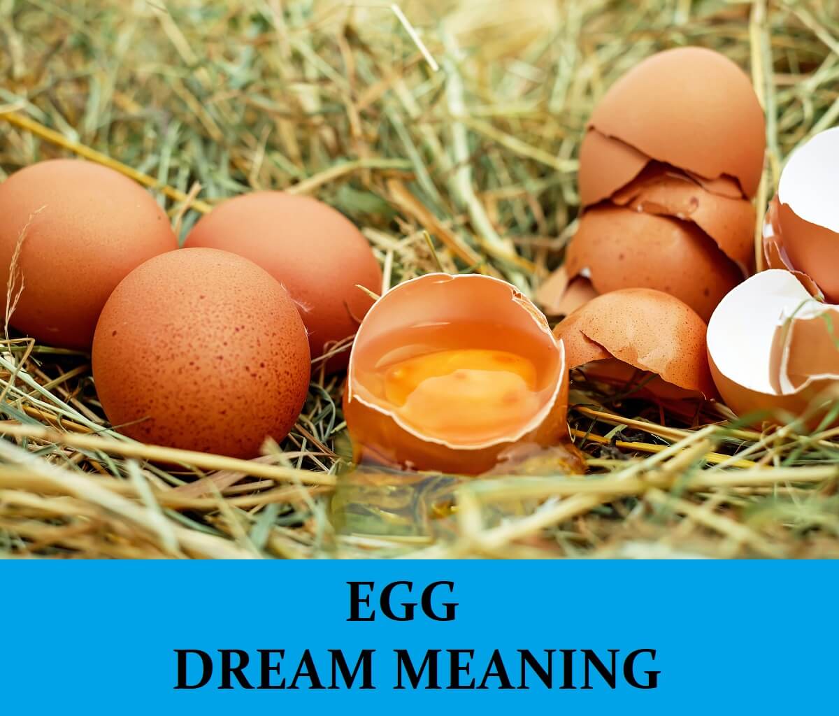 Dream About Eggs