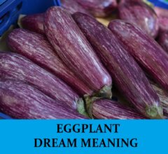 Dream About Eggplants