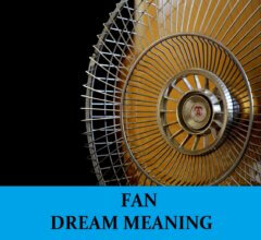 Dream About Fans