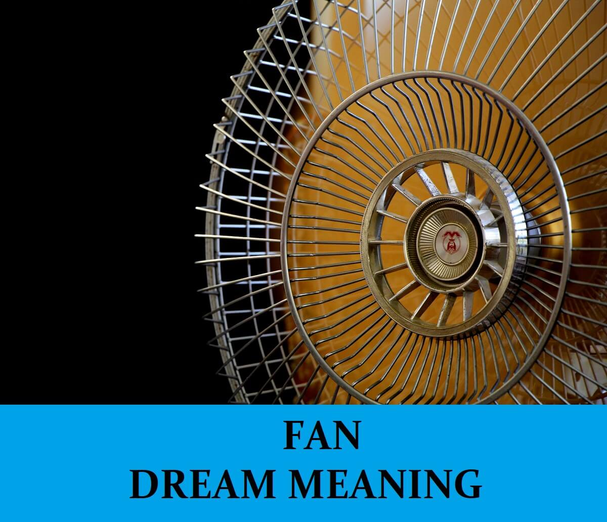 Top fan meaning