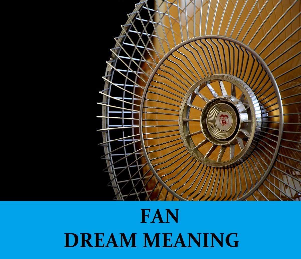 fan-dream-meaning-top-11-dreams-about-fan-dream-meaning-net