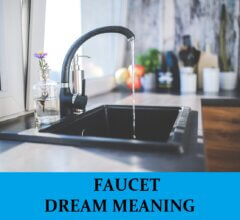 Dream About Faucets