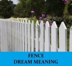 Dream About Fences