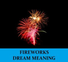 Dream About Fireworks
