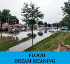 Dream About Floods