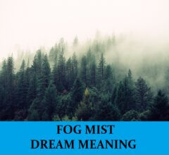 Dream About Mist Fog