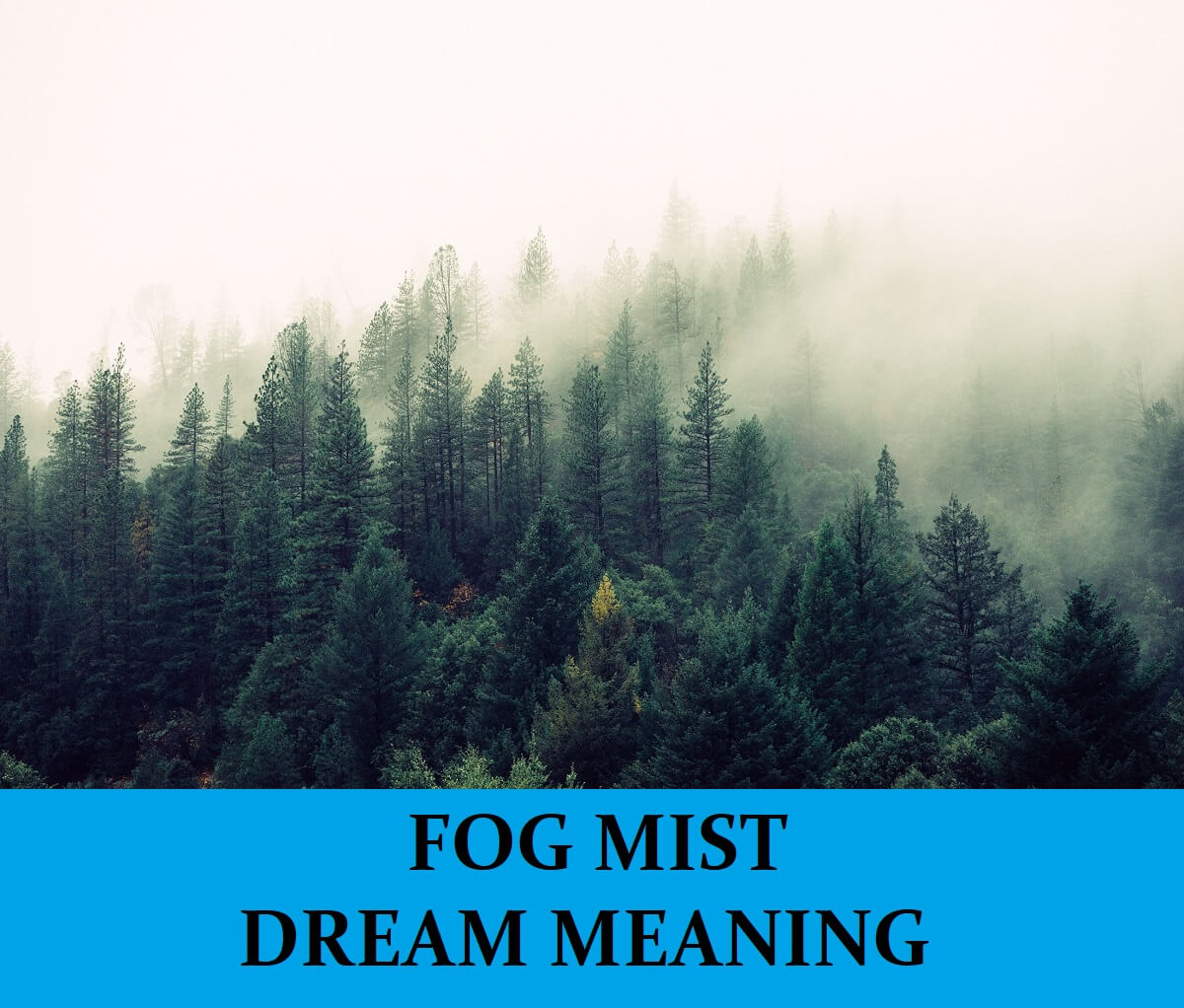 Dream About Mist Fog