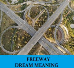 Dream About Freeways