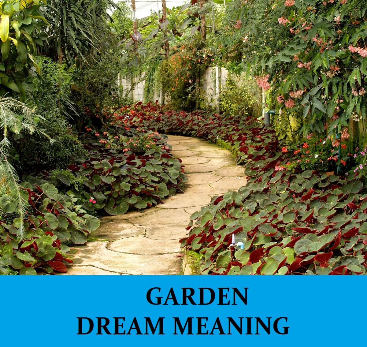 Dream About Gardens