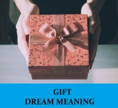 Dream About Gifts