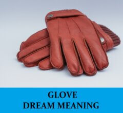 Dream About Gloves